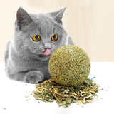 Katzenminze hilft der Verdauung und Magen zum ankleben-Tierdiscounter
