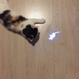 Laserpointer für ihre Katze jetzt mit Maus Optik für mehr aufmerksamkeit-Tierdiscounter