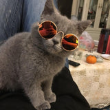 Sonnenbrille für Hunde und Katzen-Tierdiscounter